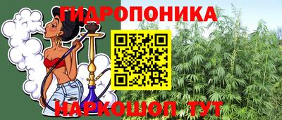 прущие грибы Моздок