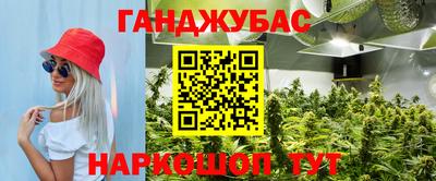 прущие грибы Моздок